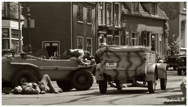 mg 739